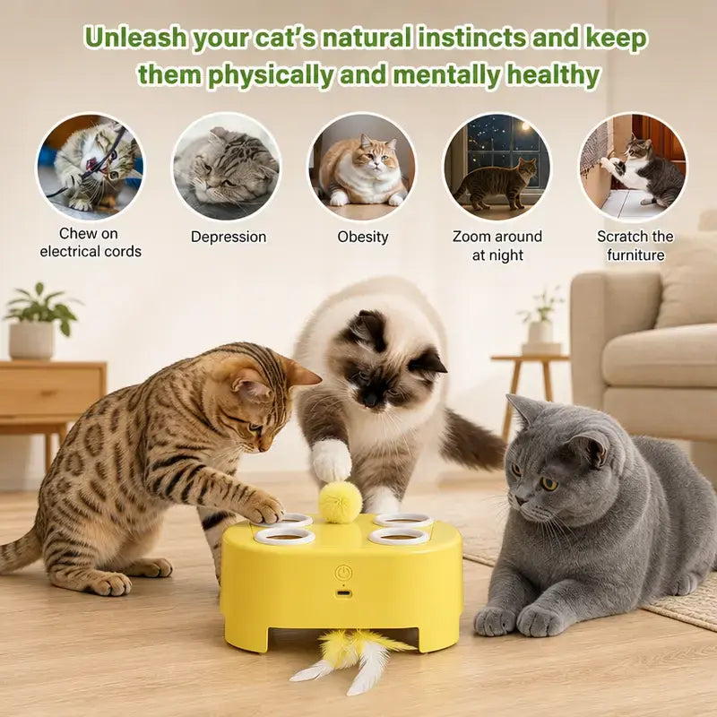 2-in-1 Interactive Cat Hunting Toy - Pop-Up Mice and Rotating Feather with USB-C Rechargeable Feature - Alleviates Indoor Boredom for Cats